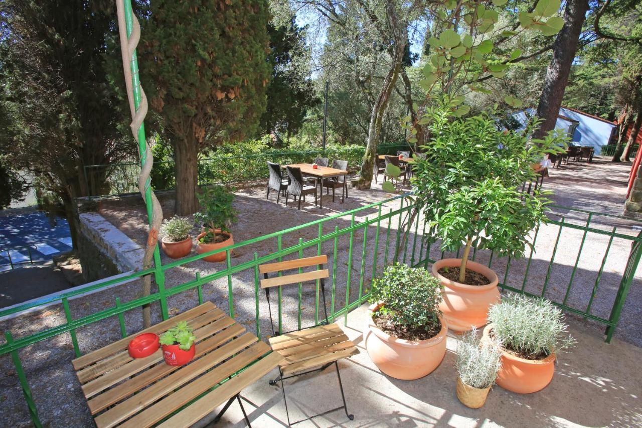 Morski Gaj Resort Piran Dış mekan fotoğraf