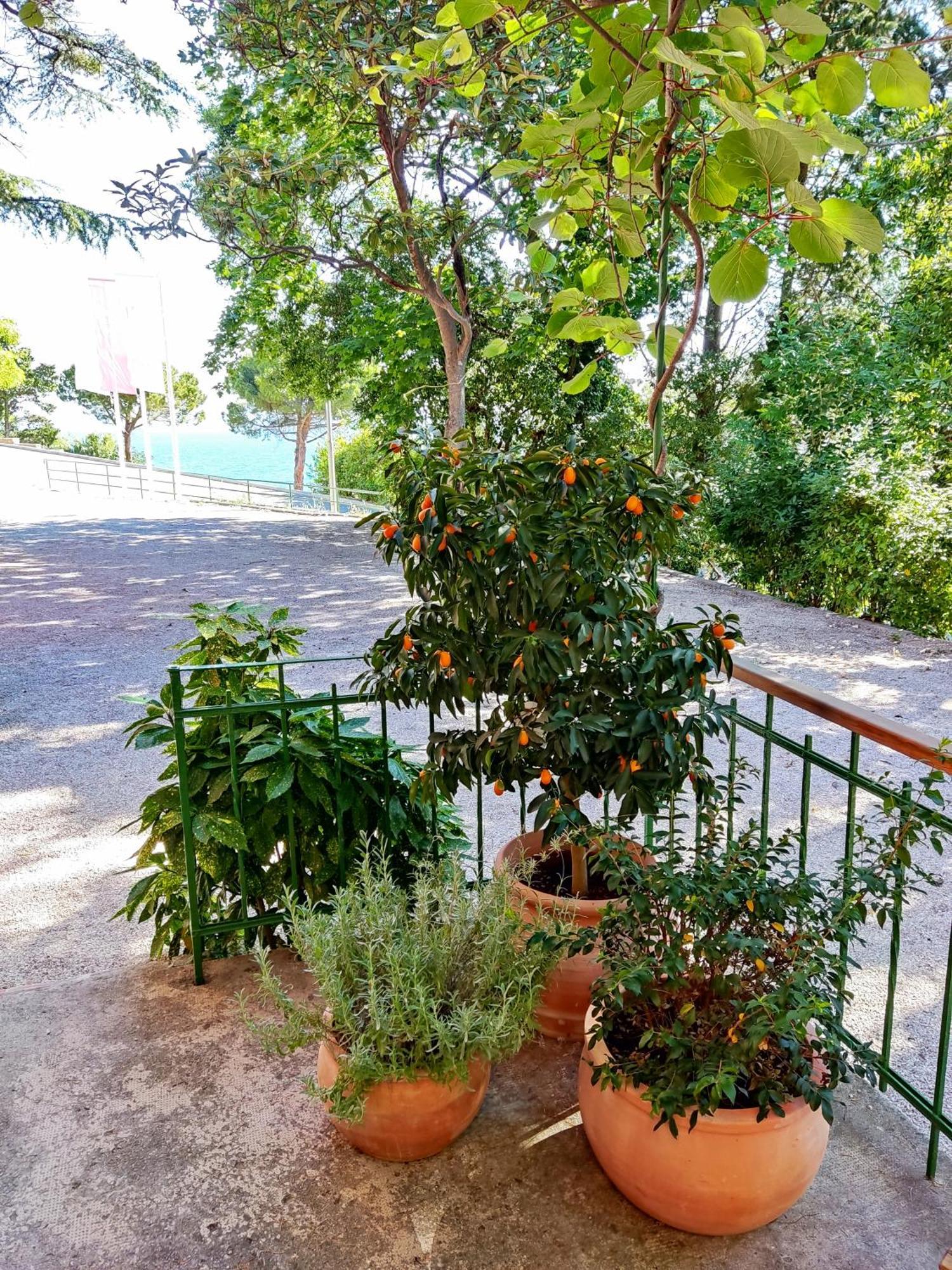 Morski Gaj Resort Piran Dış mekan fotoğraf